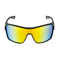 Powerslide Vision Black sunglasses 